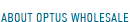 About Optus Wholesale