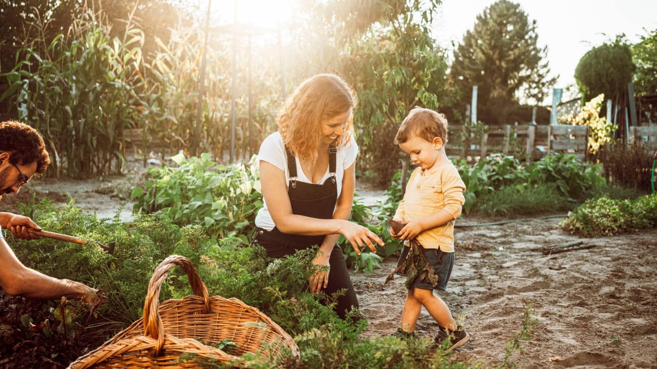 https://www.optus.com.au/content/dam/optus/cloud/images/for-you/connected/families/10-sustainability-tips-eco-conscious-families-article-banner.version-1712036482511.jpg