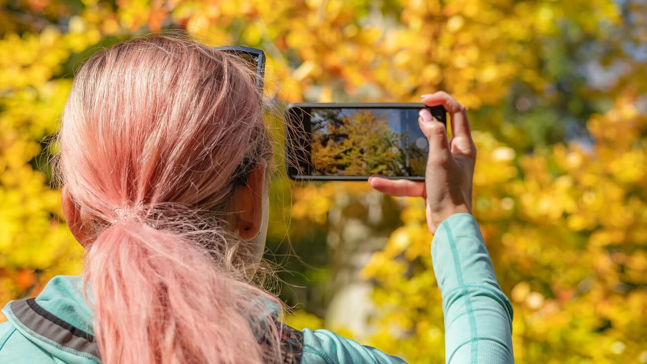 Woman with pink hair is taking a photo of yellow autumn leaves with her phone.