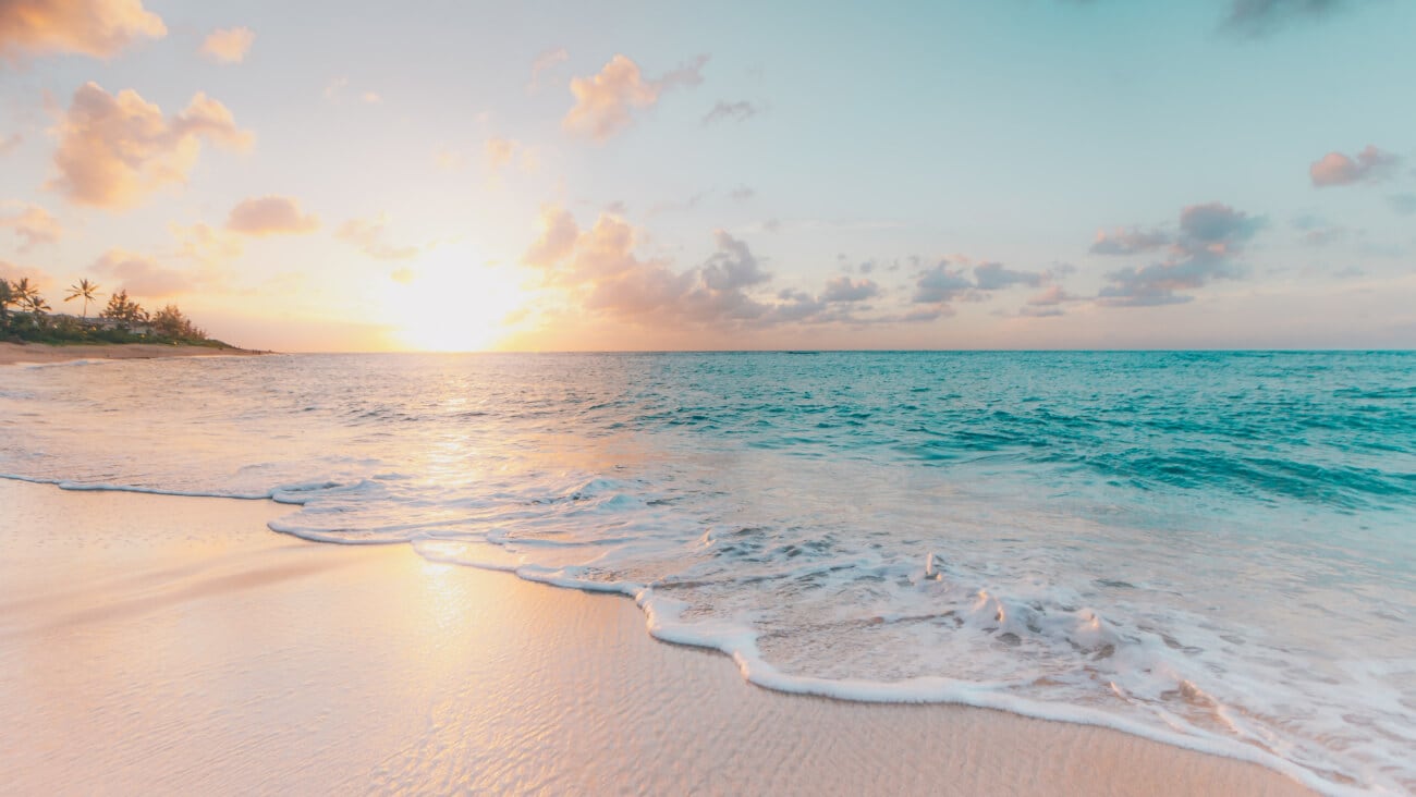 Sunny beach with white sand and light blue water