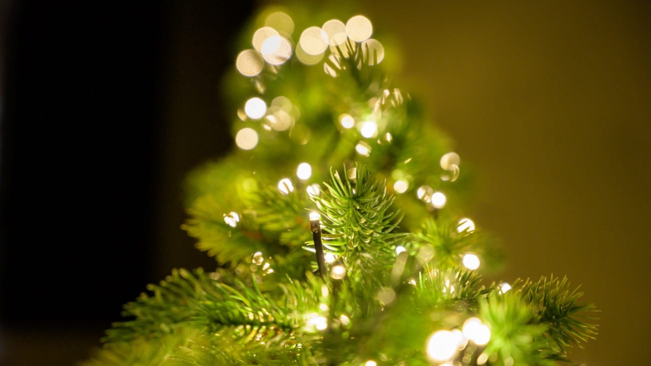 Christmas tree lights