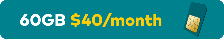 New services offer $40/month for 12 months, then $60/month