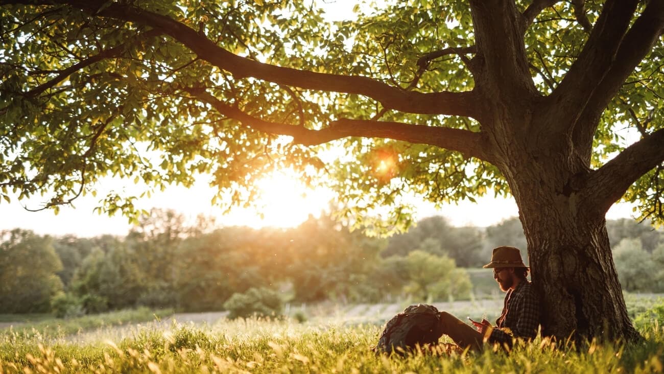 Best ever Optus coverage hops onto Kangaroo Island