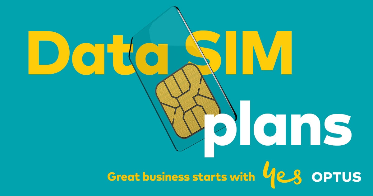 bt business sim only plans