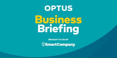 Business Briefing with Bridie Shepherd