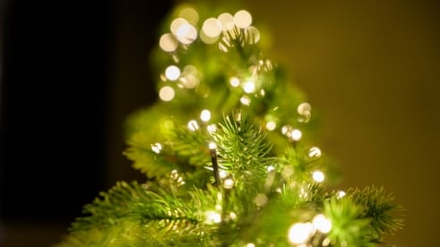 Christmas tree lights Christmas tree lights