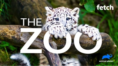 Manage your menagerie with Animal Planet on Fetch Manage your menagerie with Animal Planet on Fetch