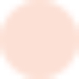 Gold icon for iPhone 11 Pro Max