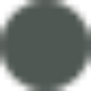 Midnight Green icon for iPhone 11 Pro Max