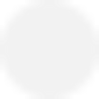 Silver icon for iPhone 11 Pro Max