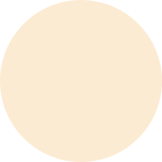 Colour icon for the iPhone 12 Pro in Gold
