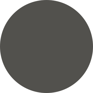 Colour icon for the iPhone 12 Pro in Graphite