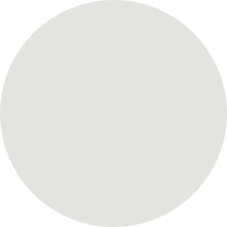 Colour icon for the iPhone 12 Pro in Silver