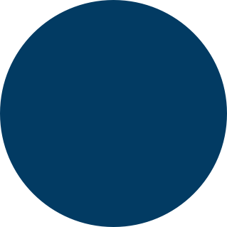 Blue icon for iPhone 12 Mini