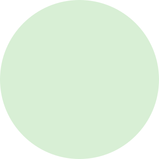 Green colour icon for iPhone 12 Mini