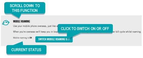 optus international roaming activation number